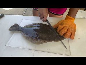 How to Filet Flounder (Fluke)
