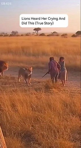 Lions Save Kidnapped Girl in Ethiopia (Unbelievable True Story)