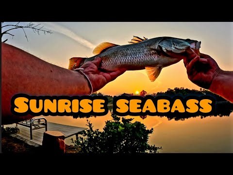 "Fishing in Paradise: Thailand's Luxurious Resorts vs. Roughing It in the Wild!" #luxuryresort