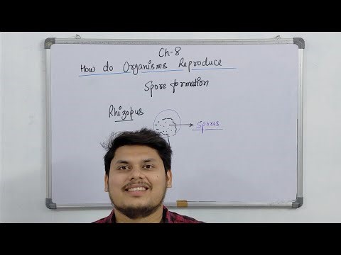 Reproduction class 10th.#youtubeshorts #education #science🫵☝️