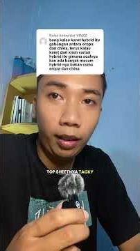 Answering questions about hybrid rubber #pingpong #tabletennis #hybridrubber