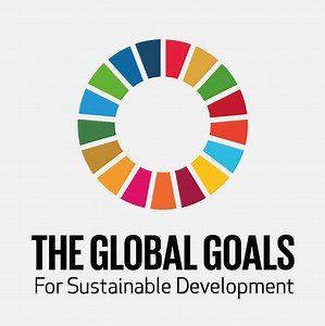 Sustainable Development Goals - iamtheCODE