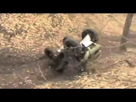 ATV Crash Fails Compilation