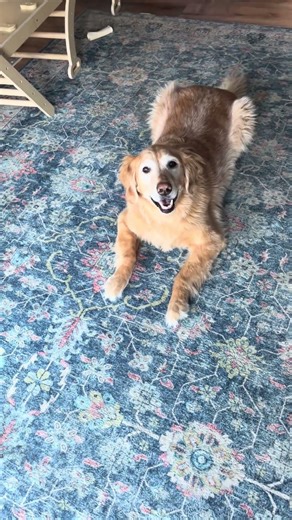 Cooper birthday festivities have begun.