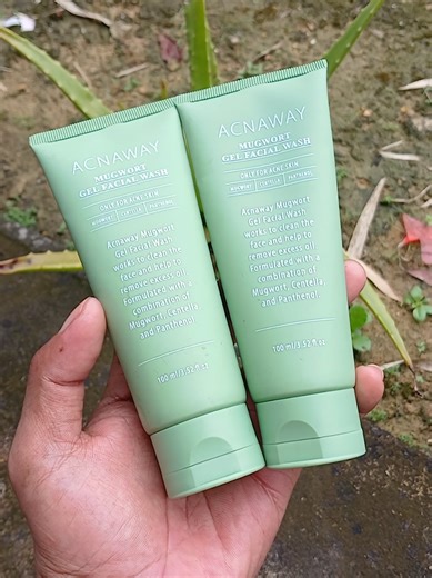 Acneway Facial Wash: Benefits of Mugwort Extract