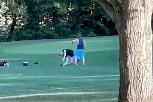 Unhinged golf course fight features one of the craziest KOs you will ever see