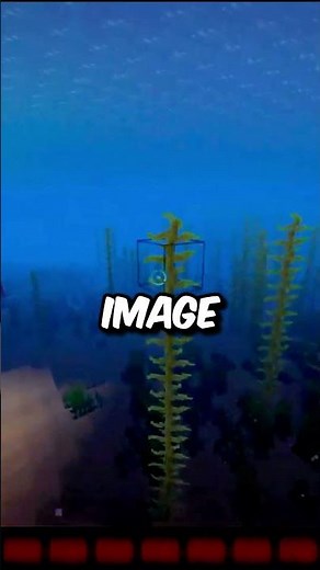 How To Find A Coral Reef in Minecraft? #shorts #minecraft