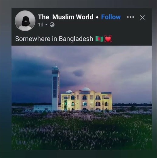 The beauty 😍 #foryou #shortvideos #fypシ #veidography #trending #beautiful #nature