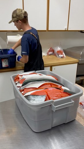 Lots of salmon and halibut coming home from @kingfisher_charters_and_lodge in Craig, Alaska! Very impressive operation they have there from the fishing, lodging, meals, and fish packing! #salmon #halibut #alaska #fishpacking @stanzfishing | Capt. Nick Stanczyk