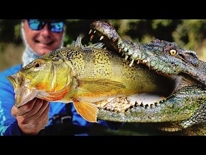 I catch a crocodile while fishing!!! (no clickbait)