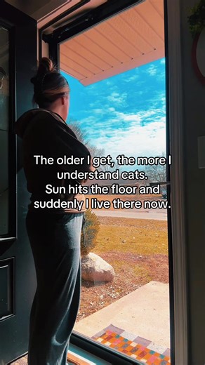 Chasing Sunlight Like a Cat