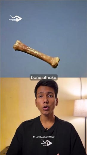 The Greatest Match Cut Ever EXPLAINED | 2001: A Space Odyssey