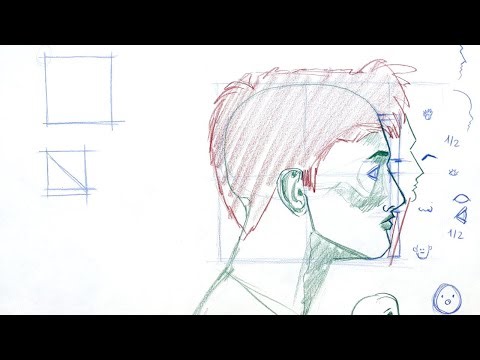 Le portrait de profil : repères et proportions