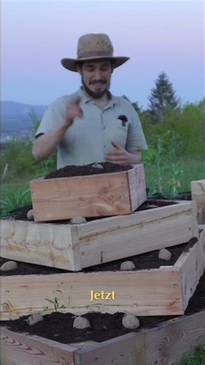 Kartoffel Hochbeet Ernte bis 60kg! Lärchenholz Tipps! #garten