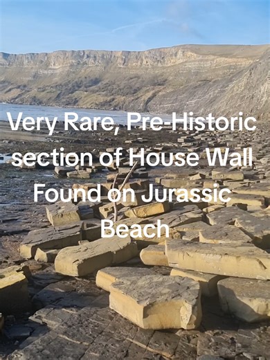 Rare Find, Section of Pre-Historic House Wall, Still with decorations on the surface. #jurassic #find #prehistoric #decoration #fossils