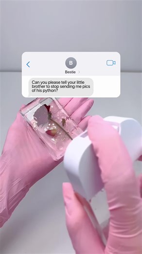 The Python #textingstory #funny | python snake