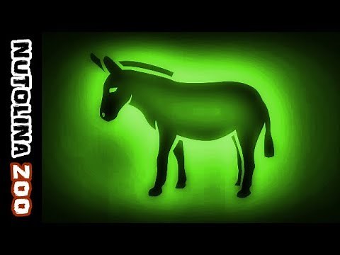 Donkey sound / Donkey sounds / Animal sounds donkey