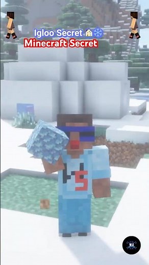 🏠 Minecraft Igloo Secret Hidden Basement Trick Revealed! #minecraft #minecraftfact