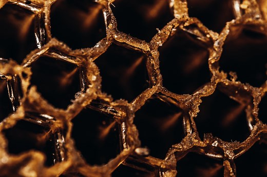 Honeycomb Structure Is Space-Efficient and Strong — Biological Strategy — AskNature