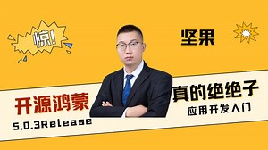 OpenHarmony应用开发实战：零基础玩转DevEco Studio，揭秘开源鸿蒙IDE高效开发技巧