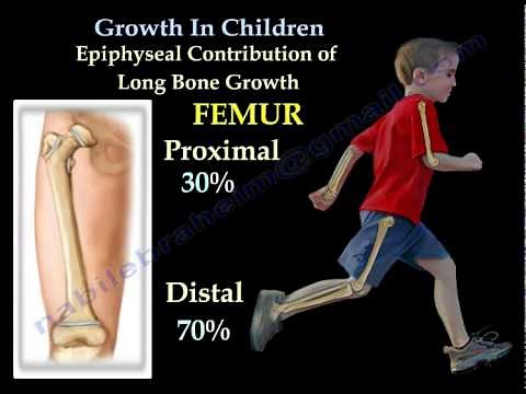 Bone growth In Children - Everything You Need To Know - Dr. Nabil Ebraheim