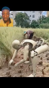 Amazing Robotic Farming 😳 #viralvideoシ #trendingreelsvideo #robot #farming | Fame Ebong