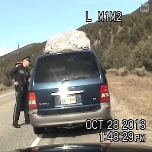 New Mexico state police traffic stop and ensuing chase | Latest News Information 2