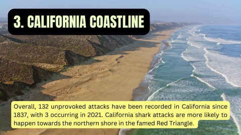 Swim At Your Own Risk: Earth’s Most Shark-Infested Beaches