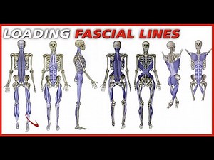 The KEY To True Effortless Power In The Golf Swing - Loading Fascial Lines