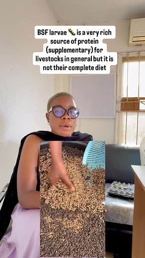 6.9K views · 73 reactions | Processed BSF larvae  actually contains...