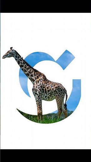 Canva tutorial : Create This Creative Letter Poster Design in 60 Seconds!