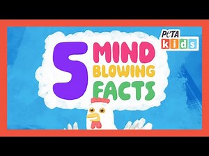 5 Mind Blowing Facts About Chickens | Kids Videos | Animal Videos | ‪@PETAKids‬