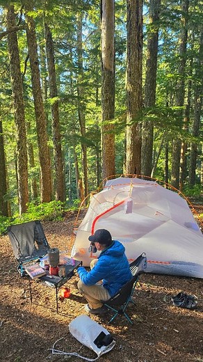Algorithm please help me find my people: ▫️Likes walking uphill ▫️Likes sleeping outside ▫️Likes looking at bugs, birds & mushrooms ▫️Likes gazing at the sky ▫️Likes sharing snacks Go! ✨️ Please always Leave No Trace 🏕Plan ahead and prepare 🏕Travel and camp on durable surfaces 🏕Dispose of waste properly 🏕Leave what you find 🏕Minimize campfire impacts (Be careful with fire) 🏕Respect wildlife 🏕Be considerate of other visitors . . #mtrainier #backpacker #backpacking #washingtontrails | PNW H