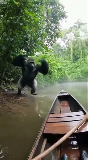 Monkey Attacks Human in the Amazon Jungle