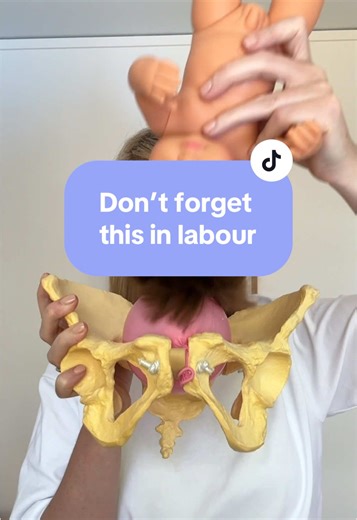 let's talk about something NO ONE tells you about: YOUR BLADDER DURING BIRTH! 🚽🤰 Did you know a FULL BLADDER is basically a ROADBLOCK for your baby? 🛑 It can literally STOP your baby from: • Moving down into your pelvis • Getting into the RIGHT position for birth PRO TIP: Pee AT LEAST ONCE AN HOUR during active labor! 💦 And after birth? A full bladder can MESS UP your uterus contracting - which is NOT what you want! Can't pee after delivery? Your midwife might bring out the CATHETER - trust