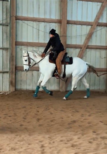 Goose: The Remarkable Journey of a Cowboy Pony