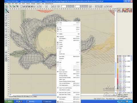 using embird editorto resize