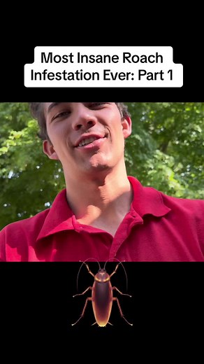 Most Insane Roach Infestation Ever: Part 1 #pestcontrol