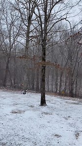WBIR Weather WSMV 4, Nashville Crossville, Tennessee snow at Noon - Finally starting to get some big pretty snowflakes to cover the ground. Now Ice Stay Away! #snow #snowstorm #winterstormFern #winterstorm #tn #tnsnow #tennessee #tennesseesnow #ice #crossvilletn #crossville | Meandering Across America