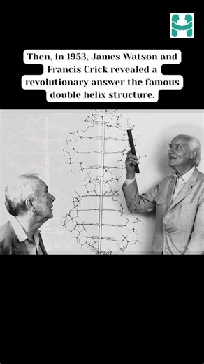 Discovery of DNA check this out #DoubleHelix #JamesWatson #FrancisCrick #RosalindFranklin #DNA