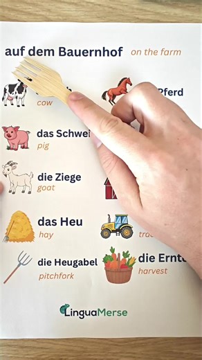 Words in German for animals and things on the farm . . . . . . . . . . #germanwords #learninggerman #learngerman #learngermanonline #german