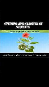 #biology #photosynthesis#olympiad #cbse #plantscience #icse#lighteffectonplant#biobasics#botany