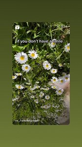 3.3K views · 299 reactions | Dog Files on Reels | Facebook