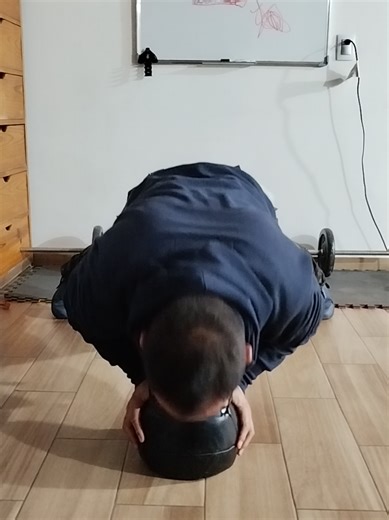 #pushups #pushupchallenge #plankchallenge #burpeeschallenge #reto