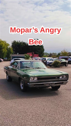 Meet the 1969 Dodge Super Bee: Mopar’s Meanest Buzz This beauty is owned by Gary Cork #dodgesuperbee #dodgecoronet #moparmuscle #moparornocar #musclecars #mopar #v8 Dynamic Detroit Mopars Dodge Mopar | Mopar Logic
