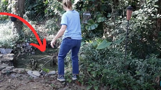 Everyone will be rethinking their spring backyard when they see this!