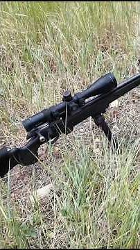 22LR Tikka T1x MTR Minuteman Review
