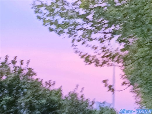 Playlist · 夏日眩晕 · 迸裂的情绪和流淌的愁思 | Indie · Shoegaze · Psychedelic