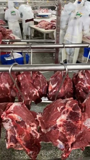 Streamline Meat Processing with Waterproof Platform Scales