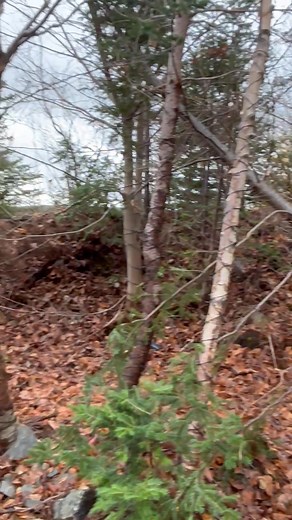 11K views · 48 reactions | The Nightmare might be over, but Mother...